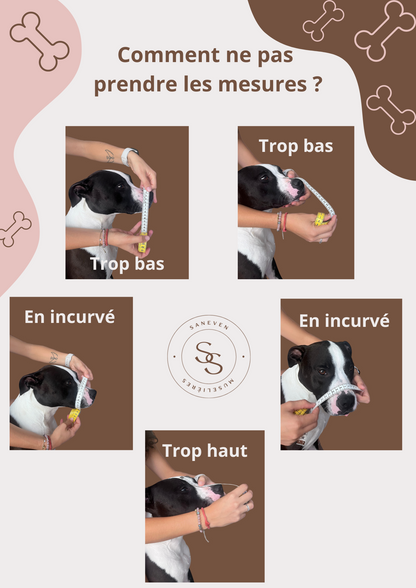 Muselière attache simple