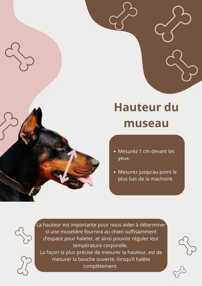 Muselière attache simple