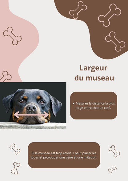 Muselière attache simple