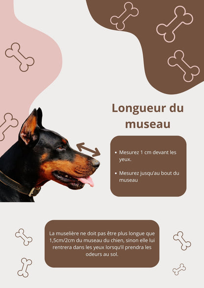 Muselière attache simple